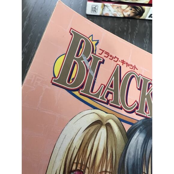 Black Cat Manga Volumes 1-13 English by Kentaro Yabuki - Paperback 1st Eds - Picture 14 of 16